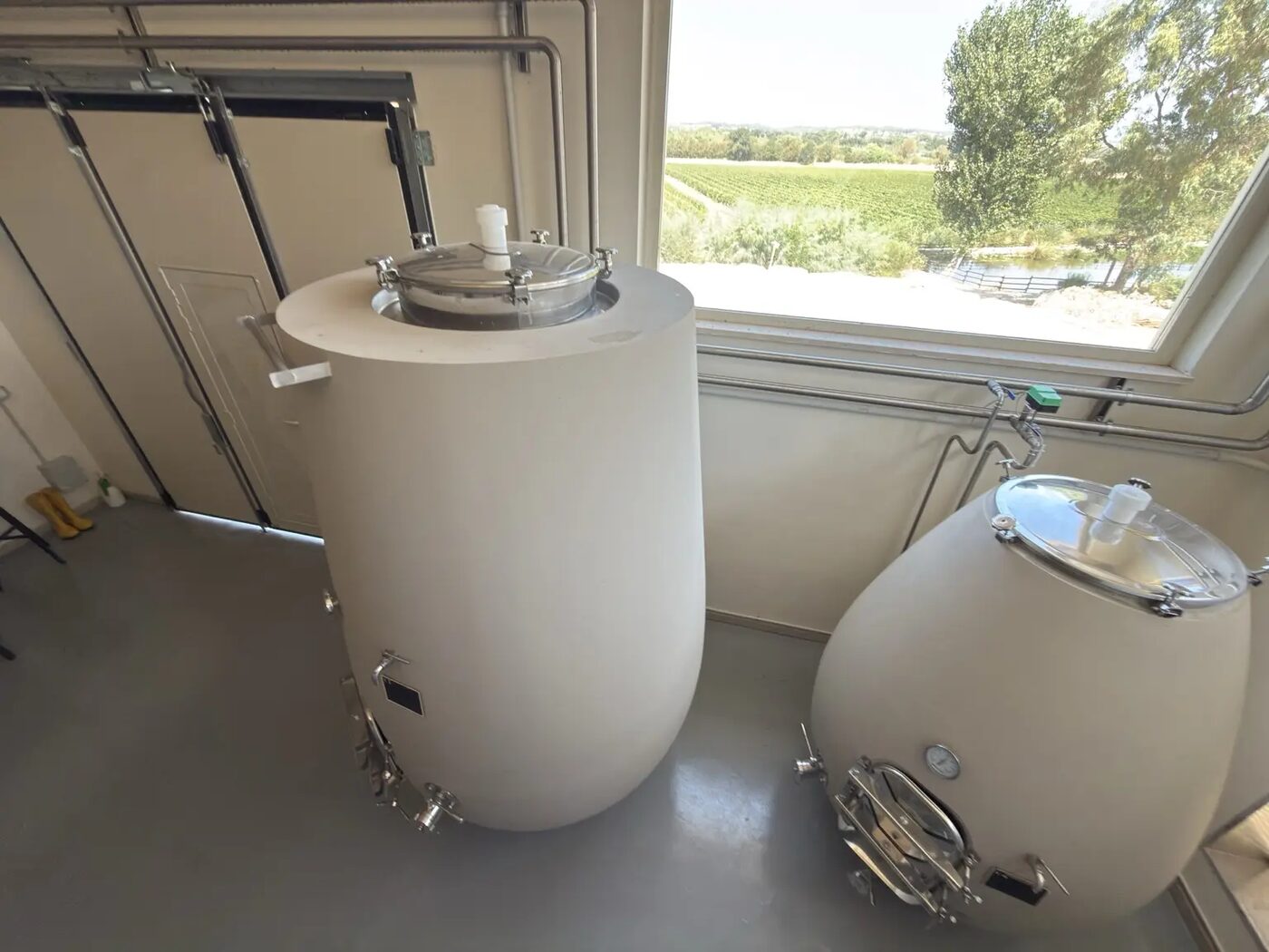 Interno della cantina di Tenuta Comitas